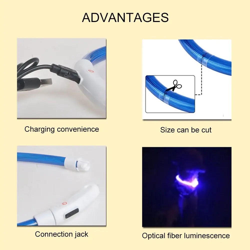LED waterdichte hondenhalsbanden PL5